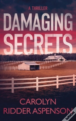 Capa do artigo Damaging Secrets