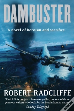 Capa do artigo Dambuster