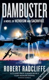 Capa do artigo Dambuster
