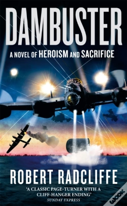 Capa do artigo Dambuster