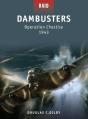 Dambusters - Preview