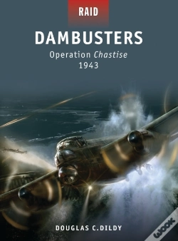 Capa do artigo Dambusters