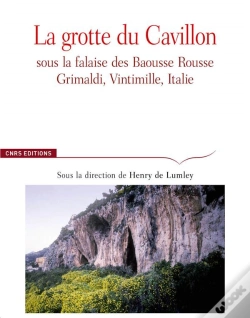Capa do artigo Dame Du Cavillon