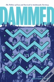 Capa do artigo Dammed