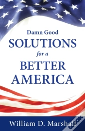 Capa do artigo Damn Good Solutions For A Better America