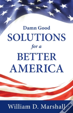 Capa do artigo Damn Good Solutions For A Better America