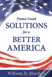 Damn Good Solutions For A Better America