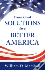 Capa do artigo Damn Good Solutions For A Better America