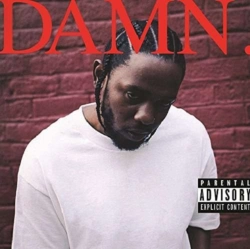 Capa do artigo DAMN. - Vinil