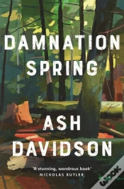 Capa do artigo Damnation Spring