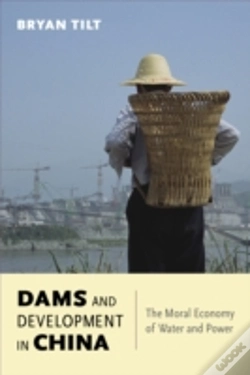 Capa do artigo Dams And Development In China