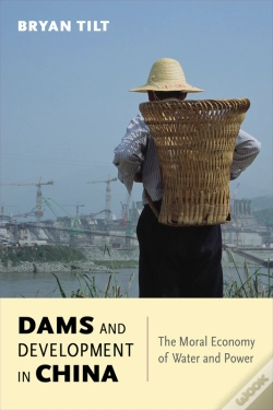 Capa do artigo Dams And Development In China