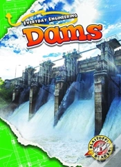 Capa do artigo Dams