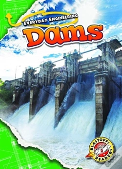 Capa do artigo Dams