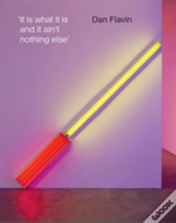 Capa do artigo Dan Flavin