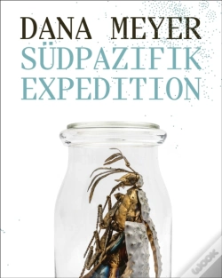 Capa do artigo Dana Meyer