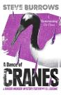 Dance Of Cranes - Preview