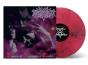 Dance of December Souls - Vinil - Preview