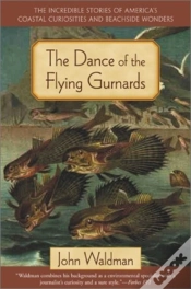 Capa do artigo Dance Of The Flying Gurnards