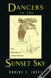 Capa do artigo Dancers In The Sunset Sky