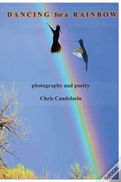Capa do artigo Dancing For A Rainbow
