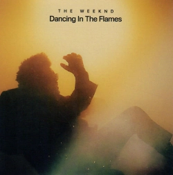 Capa do artigo Dancing In The Flames - CD