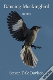 Capa do artigo Dancing Mockingbird