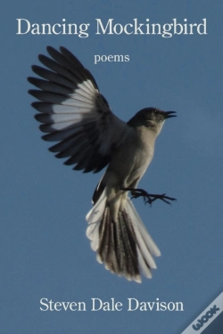 Capa do artigo Dancing Mockingbird