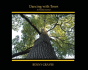 Dancing With Trees - Preview