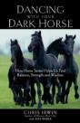 Dancing With Your Dark Horse - Preview