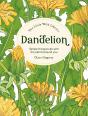 Dandelion - Preview