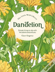 Capa do artigo Dandelion