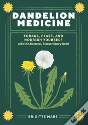 Capa do artigo Dandelion Medicine, 2nd Edition