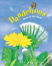 Capa do artigo Dandelions