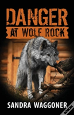 Capa do artigo Danger At Wolf Rock