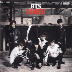 Capa do artigo Danger - CD