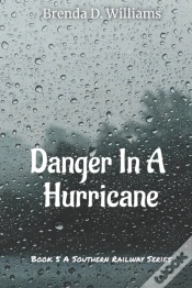 Capa do artigo Danger In A Hurricane