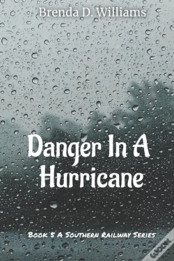 Capa do artigo Danger In A Hurricane