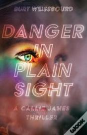 Capa do artigo Danger In Plain Sight