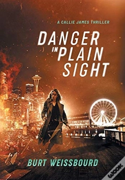 Capa do artigo Danger In Plain Sight