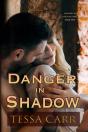 Danger In Shadow - Preview