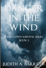 Capa do artigo Danger In The Wind
