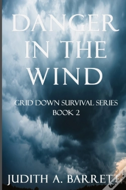 Capa do artigo Danger In The Wind