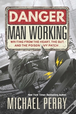 Capa do artigo Danger, Man Working