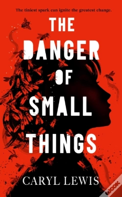Capa do artigo Danger Of Small Things