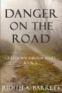 Danger On The Road - Preview