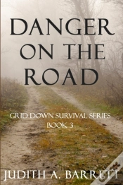 Capa do artigo Danger On The Road