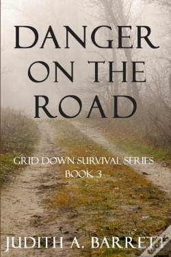 Capa do artigo Danger On The Road