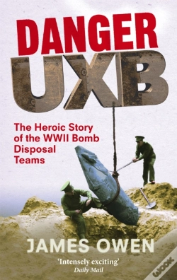 Capa do artigo Danger Uxb