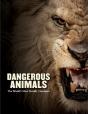 Dangerous Animals - Preview